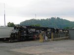NS 4635 leads a string of locos at the paper mill